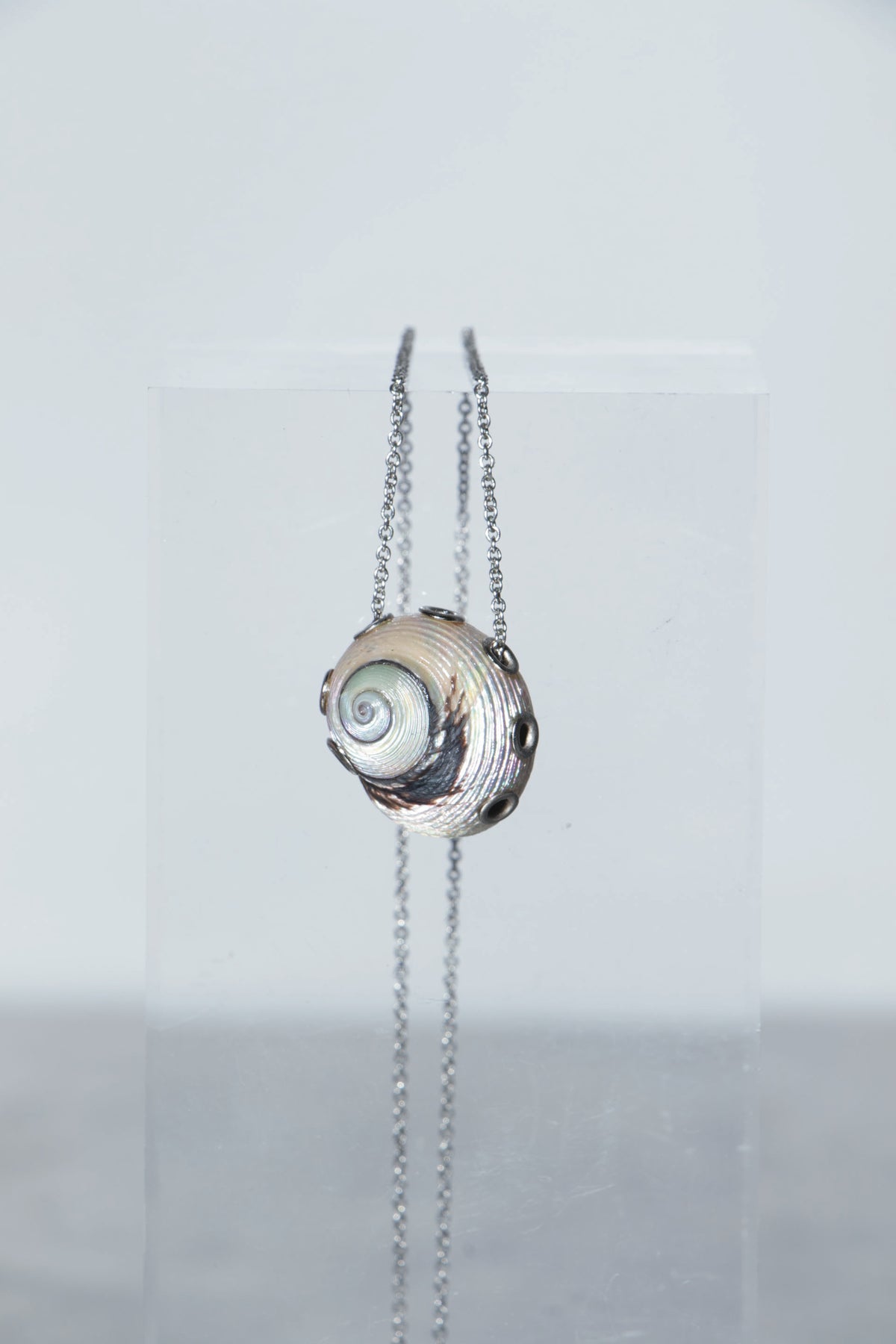 Scorched Monodont Pendant Necklace [S1] - SEAPUNKS.XX