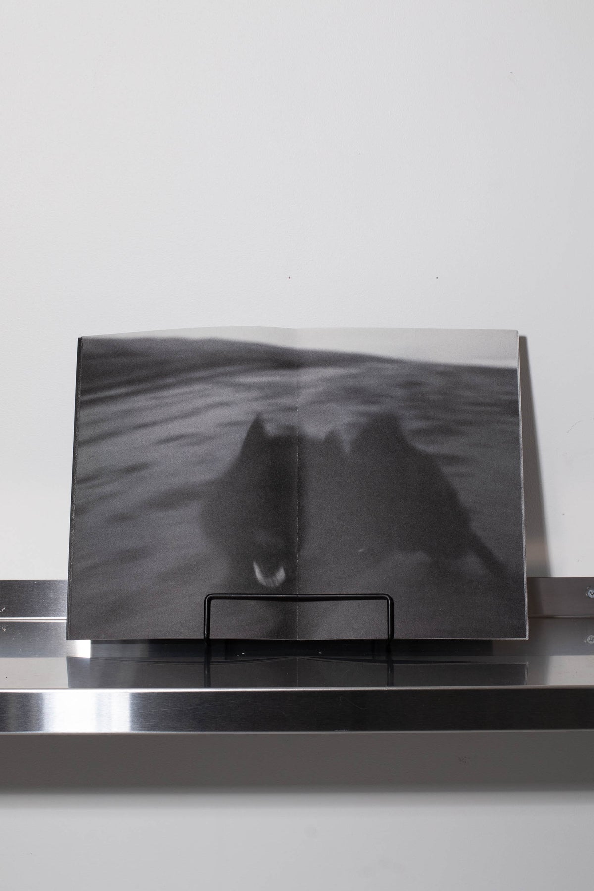 Running with a black dog on a black sand beach – BLACK WAX PRESS