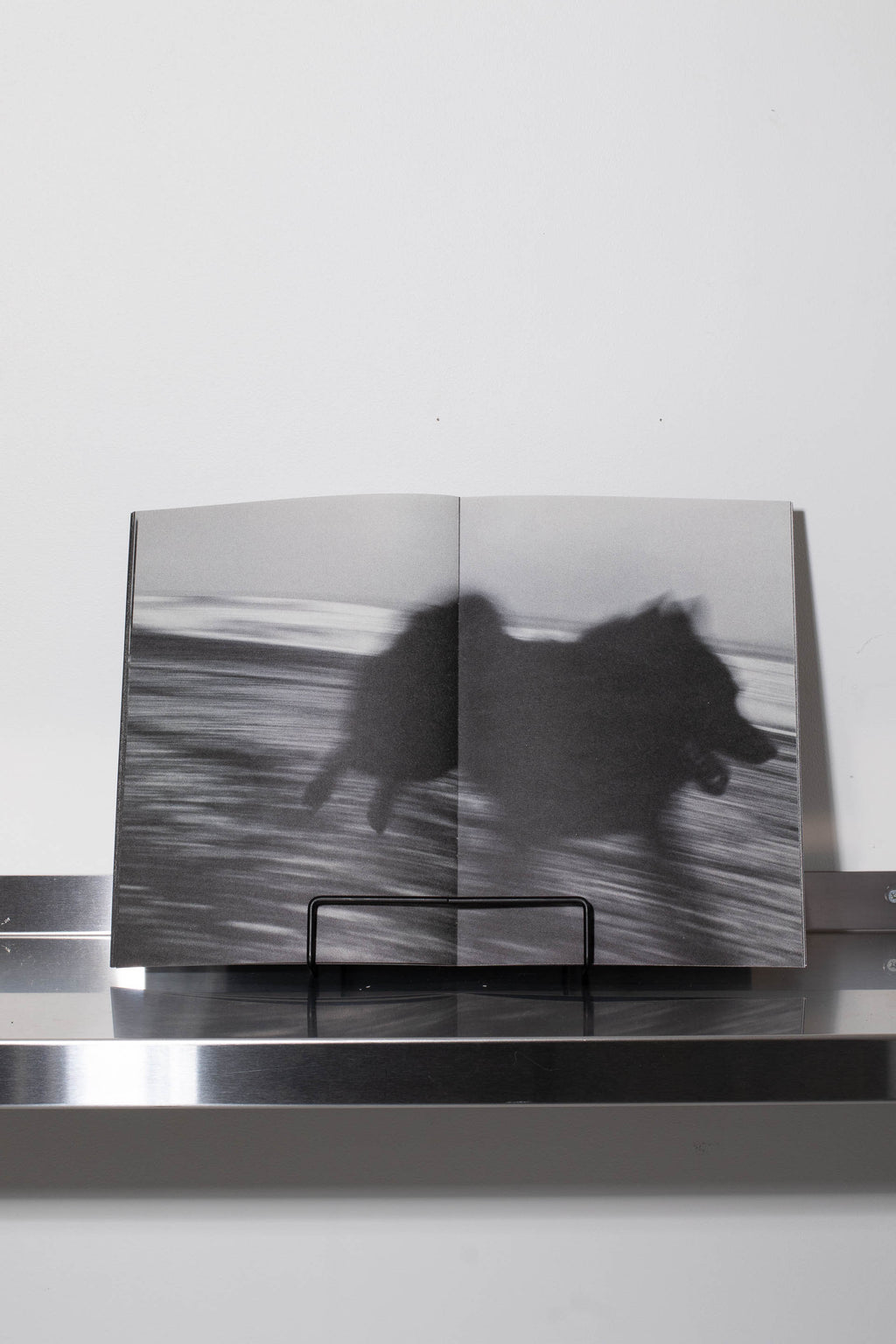 Running with a black dog on a black sand beach – BLACK WAX PRESS