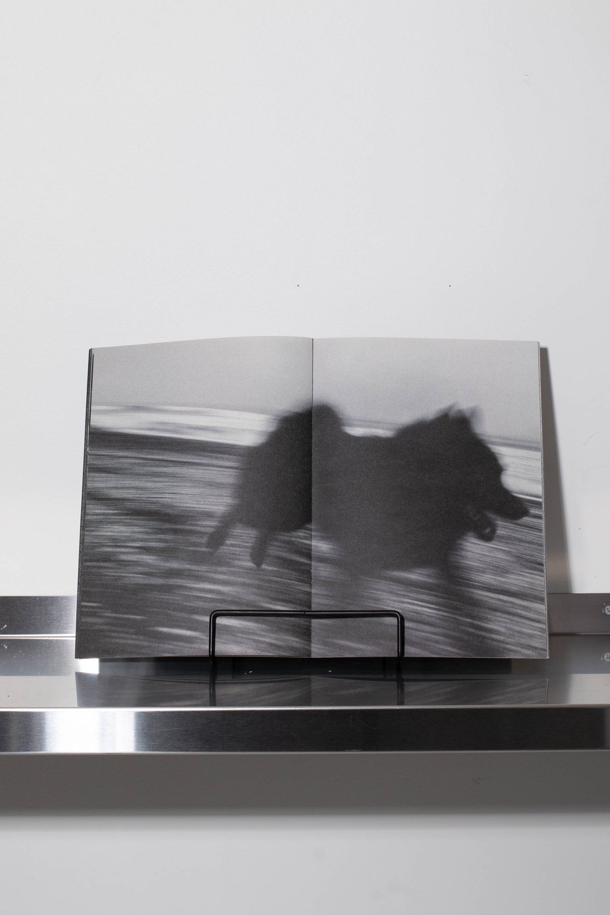 Running with a black dog on a black sand beach – BLACK WAX PRESS