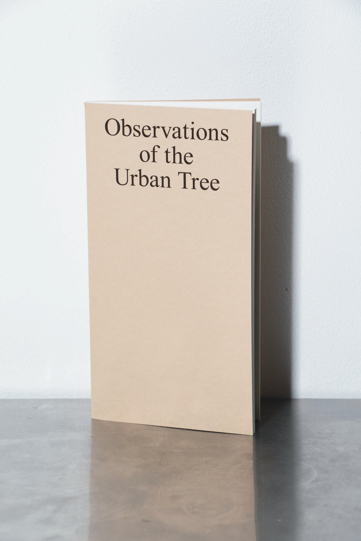 Observations of the Urban Tree - Kyra Jensen - MUREX STUDIO