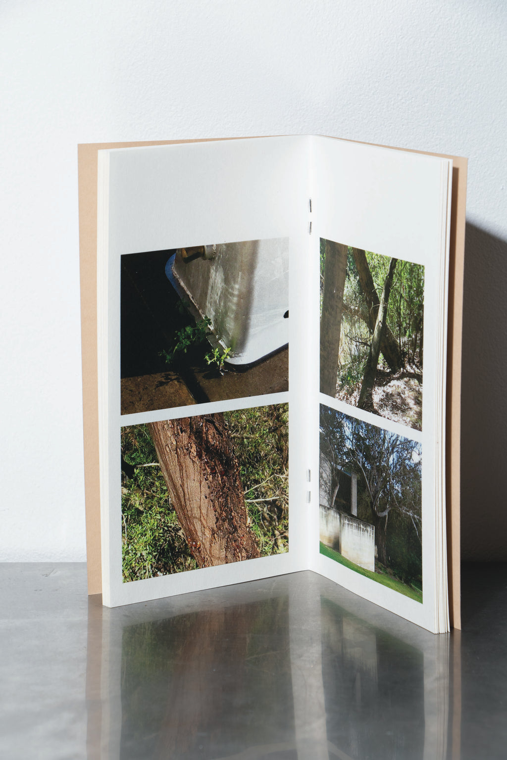 Observations of the Urban Tree - Kyra Jensen - MUREX STUDIO