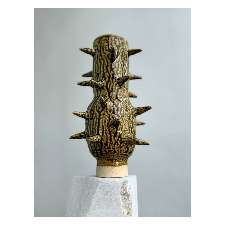 Lizzard Cactus - Green Large - Sophie Hathaway Ceramics